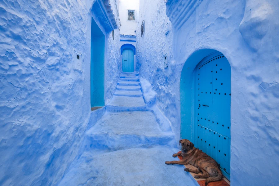 off-day-chefchaouen-day-trip-the-blue-city-of-morocco